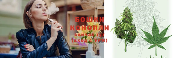 ГАЛЛЮЦИНОГЕННЫЕ ГРИБЫ Болхов