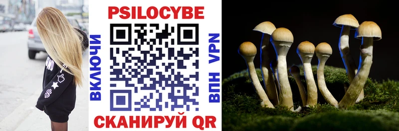 Галлюциногенные грибы Cubensis MEGA онион Дмитриев